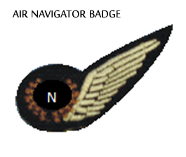 Flight Engineer Badge