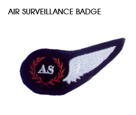 Air Surveillance Badge
