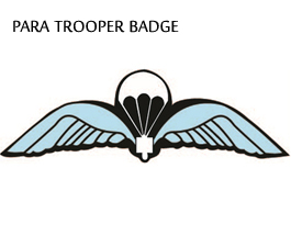 Para Trooper Badge
