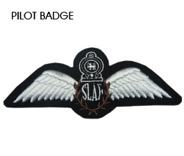 Pilot 
Badge